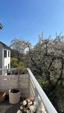 Foto - 4-Zi-Wohnung direkt am Wald (Zwischenmiete 5-12 Monate)