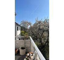 4-Zi-Wohnung direkt am Wald (Zwischenmiete 5-12 Monate) - Wiesbaden Dotzheim