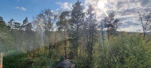 Foto - 4 Zimmer Dachgeschoßwohnung zur Miete in Wiesbaden