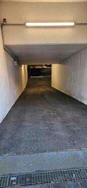 Foto - andere in Dresden