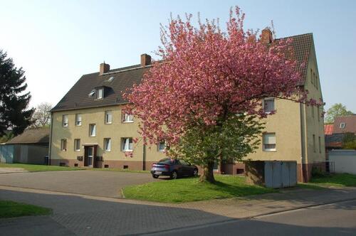 Foto - Gute Laune kann man jetzt mieten! VIVAWEST