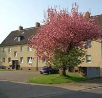 Gute Laune kann man jetzt mieten! VIVAWEST - Bergheim Auenheim