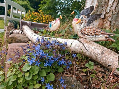 Foto - Grundst&uuml;ck in Wolfenbüttel zur Miete