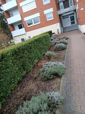 Foto - Etagenwohnung in Gaiberg zum Kaufen