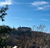 Haushälfte - 1.190,00&nbsp;EUR Kaltmiete, ca.&nbsp; 180,00&nbsp;m&sup2; in Blankenburg (Harz) (PLZ: 38889)