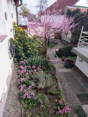 Foto - 4 Zimmer Reihenhaus zum Kaufen in Eisenhüttenstadt