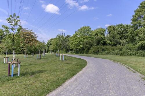 Foto - 3.5 Zimmer Etagenwohnung zur Miete in Dinslaken