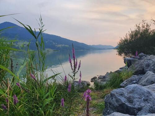 Foto - Ferienwohnung Urlaub Fewo Übernachtung Allgäu Bayern Berge See