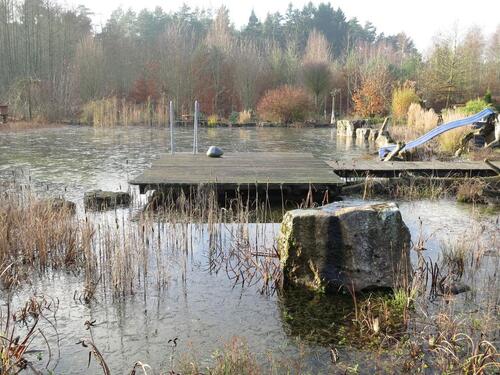 Foto - Gartengrundstück mit Schwimmteich zur Miete in 91731 Langfurth