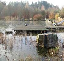 Gartengrundstück mit Schwimmteich zur Miete in 91731 Langfurth