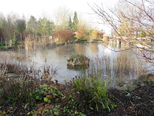 Foto - Grundst&uuml;ck in Langfurth