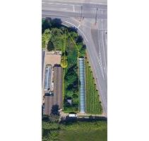 GartengrundstückFreizeitgrundstück in Frankfurt - Harheim - Frankfurt am Main Nordend West