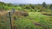 Foto - Garten in Wi-Freudenberg - 1.400,00 EUR Kaltmiete, ca.  0,00 m²