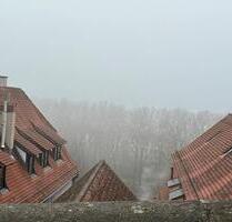 Zwei Zimmer befristet zu vermieten an Frau - Kirchentellinsfurt