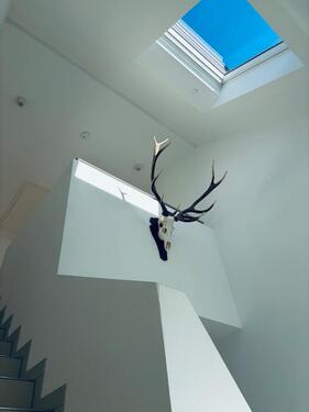 Foto - Einfamilienhaus in Tiefenbronn zum Kaufen