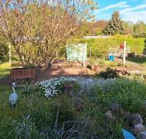 Kleingarten mit Holzlaube - 250,00 EUR Kaltmiete, ca.  0,00 m² in Dessau-Roßlau (PLZ: 06862) Brambach