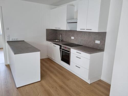 Foto - 4 Zimmer Terrassenwohnung in Thüngersheim