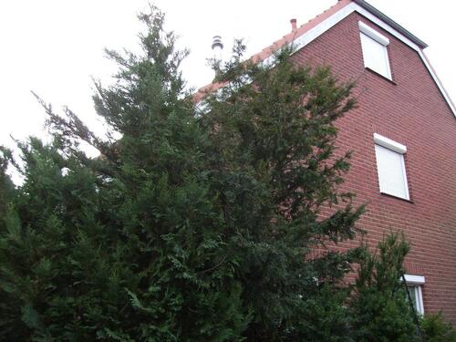 Foto - Doppelhaus-Hälfte in Wismar zu verkaufen