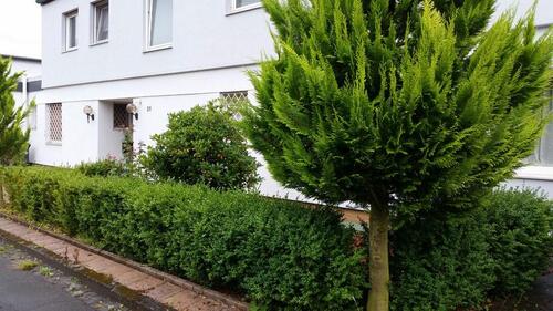 Foto - Wunderschöne 3-Zimmer Wohnung mit Große Bad und Whirlpool