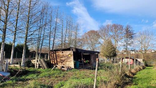 Foto - Grundst&uuml;ck zur Miete in Mainz