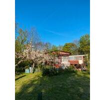 Toller Kleingarten abzugeben - 2.300,00&nbsp;EUR Kaltmiete, ca.&nbsp; 0,00&nbsp;m&sup2; in Greifswald (PLZ: 17489)