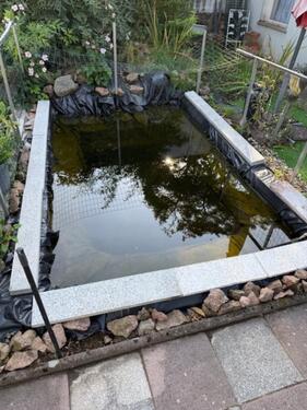 Foto - Einfamilienhaus in Staßfurt