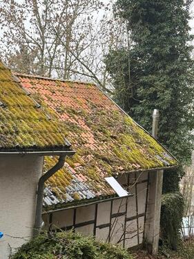 Foto - 9 Zimmer Einfamilienhaus zum Kaufen in Blankenheim