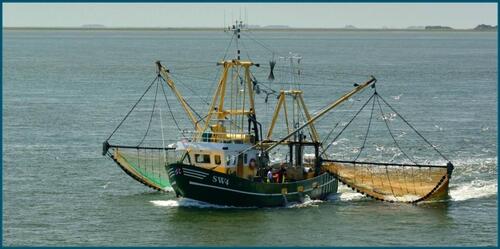 Foto - andere in Wyk Auf Föhr