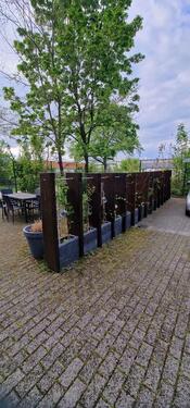 Foto - Etagenwohnung in Halle (Saale) zur Miete