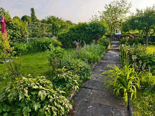 Foto - Schöner Kleingarten Schrebergarten nahe Westpark abzugeben