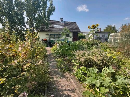 Foto - Grundstück in Braunschweig