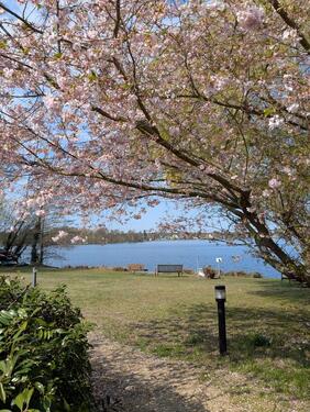 Foto - 1 Zimmer Terrassenwohnung in Erkner