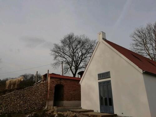 Foto - andere zur Miete in Bissingen