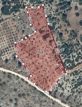 Foto - 2 Zimmer Einfamilienhaus in Triberg im Schwarzwald