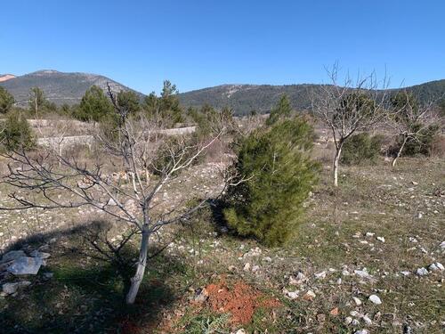 Foto - Einfamilienhaus mit 100,00 m&sup2; in Triberg im Schwarzwald zum Kaufen