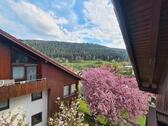 Foto - 1.5 Zimmer Dachgeschoßwohnung zum Kaufen in Bad Teinach-Zavelstein