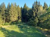 Foto - Ferienwohnung am Waldrand in Baiersbronn-Obertal