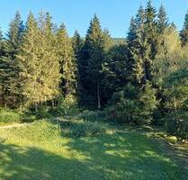 Ferienwohnung am Waldrand in Baiersbronn-Obertal