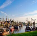 Foto - Ferienhaus bei Greetsiel mit Garten (Hunde Willkommen)