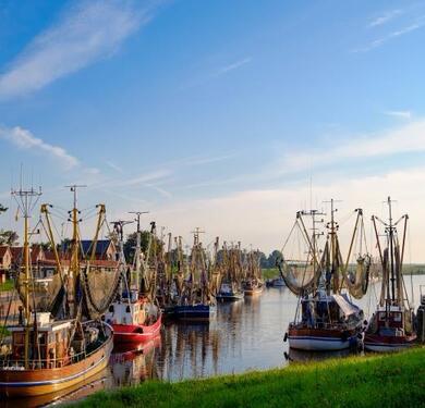 Foto - Ferienhaus bei Greetsiel mit Garten (Hunde Willkommen)