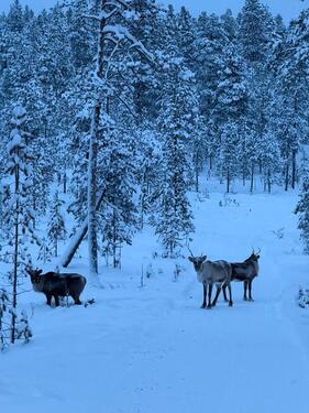 Foto - andere zur Miete in Duisburg