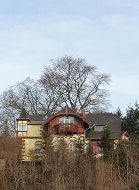 Foto - Villa mit Blick auf die Altstadt von Meißen