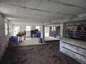 Foto - 6 Zimmer Bauernhaus, Landhaus zum Kaufen in Frankenau
