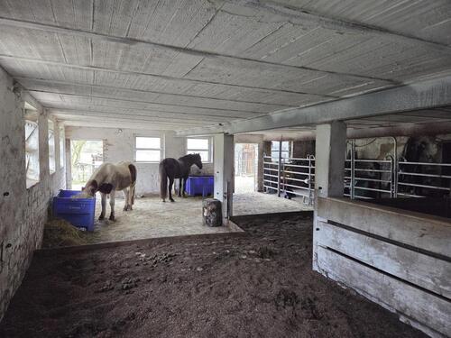 Foto - 6 Zimmer Bauernhaus, Landhaus zum Kaufen in Frankenau