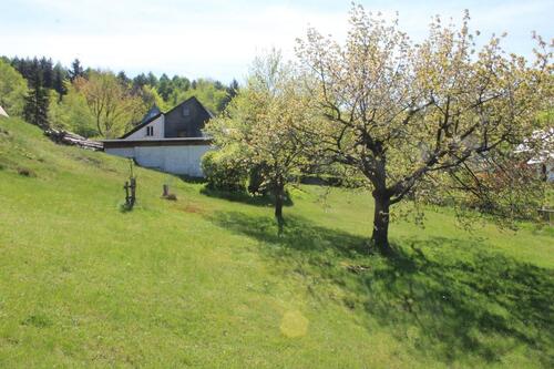 Foto - 