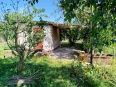 Foto - Kleingarten Garten Schrebergarten Parzelle genau lesen!