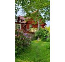 Ferienhaus bis 9 Person Urlaub Lausitzer Seenland - Lauta