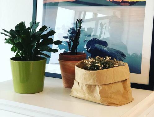 Foto - 2 Zimmer Etagenwohnung in Berlin