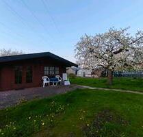 naturnahe Blockhütte an der Elbe - Hollern-Twielenfleth