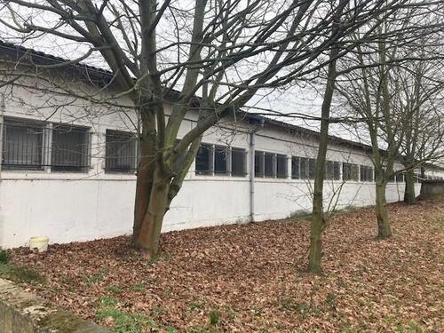 Foto - andere in Wildau zur Miete
